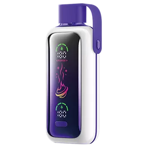 پاد یکبار مصرف وزول رزبری هندوانه 20000 پاف Vozol raspberry watermelon pod