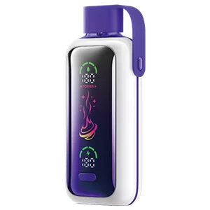 پاد یکبار مصرف آدامس بادکنکی انگور 20000 پاف وزول Vozol grape bubble gum pod