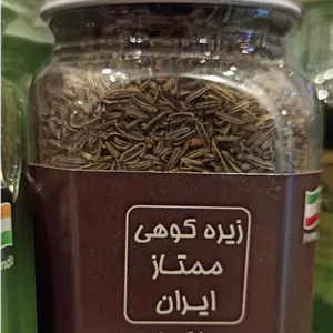 زیره کوهی ممتاز مارکو
