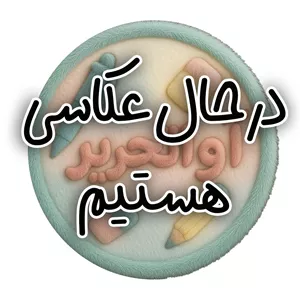 پاکن برقی استورم