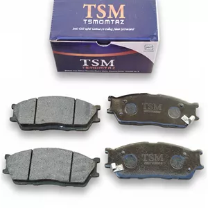 لنت ترمز جلو ریو TSM (تی اس ام)