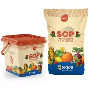 کود سولفات پتاسیم پودری اسکایلا (SOP)