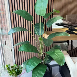 درختچه مصنوعی نیکولای (پرنده بهشتی) دو تنه 18 برگ غلاف بزرگ ارتفاع 175 سانتیمتر