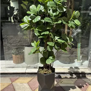 درختچه مصنوعی لیراتا 170 سانتی متری