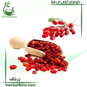 زرشک اعلا هربال سینا
