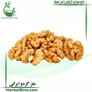مغز گردو ایرانی