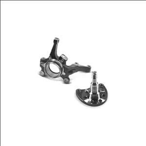 سگ دست تیوولی