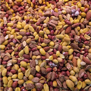 آجیل مخلوط اقتصادی - کیلویی
