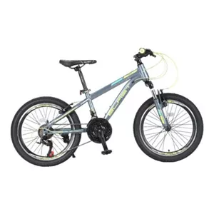 دوچرخه بلست مدل SKY 20″ V-21SP-ST طوسی