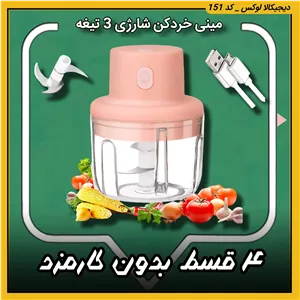 مینی خردکن شارژی اورجینال Mini ( قسطی بدون کارمزد ) ۳ تیغه مناسب آشپزی سریع و غذای کودک original