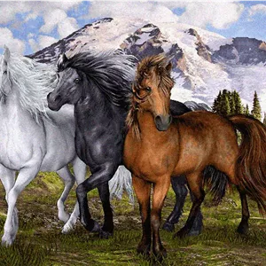 نقشه سنتی،s5-120