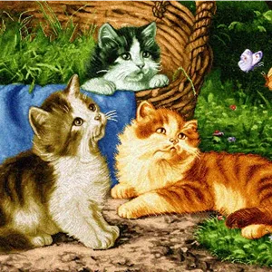 نقشه سنتی،s5-72
