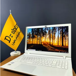 لپ تاپ 15.6 اینچی Toshiba | مدل Dynabook T55/TWE | حافظه 512GB | رم 8GB | استوک گرید A
