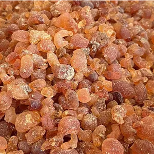 گیاه دارویی صمغ عربی Acacia senegal
