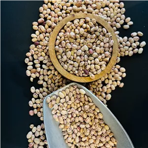 لوبیا چیتی ایرانی