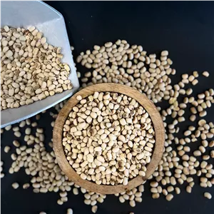 لوبیا عربی
