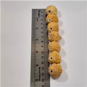 انجیر سایز متوسط سوپر - فروش خرده