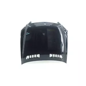 در کاپوت مرسدس بنز S500 اتاق w223