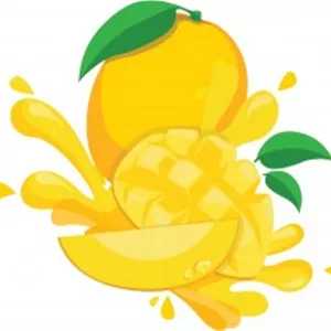 وکتور میوه انبه