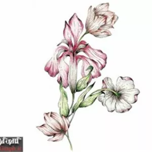 تصویر باکیفیت نقاشی آبرنگ گل
