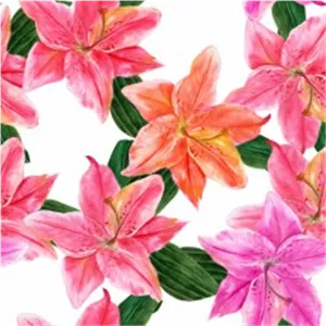 نقاشی آبرنگ گل سوسن
