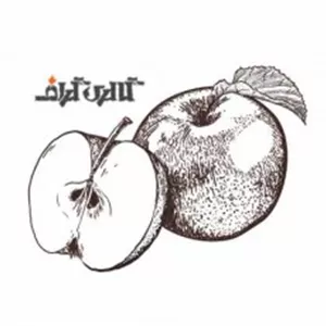 وکتور نقاشی خطی سیب