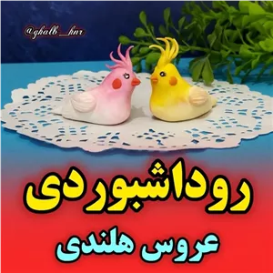 عروسک روداشبوردی طرح عروس هلندی خانمان مدل 369461