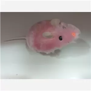 موش کوکی خانمان مدل 368899