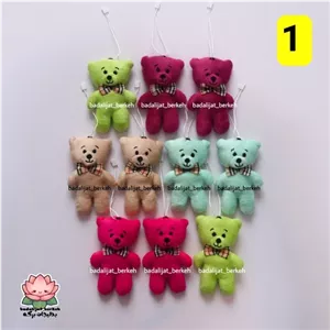 عروسک خرس پولیشی رنگی خرس دسته گل . آویز خرس . مناسب برای هدیه و گیفت دانش آموز . گیفت حروف کلاس اولی ها خانمان مدل 367017