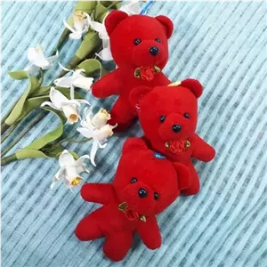 عروسک خرس قرمز 11 سانتی آویز دار خانمان مدل 369932