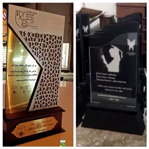 تندیس دانشجویی تحصیلی خانمان مدل 343096