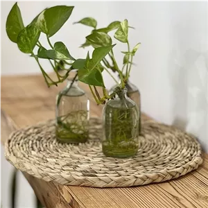 زیر بشقابی حصیری طرح ایکیا خانمان مدل 346666