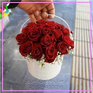 گل فروشی سینره