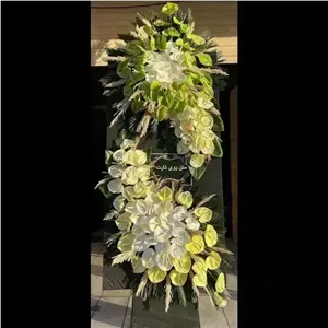 تاج گل کاتیا