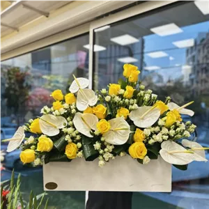 فروشگاه گل و گیاه و گلدان سه راه شریعتی 6195