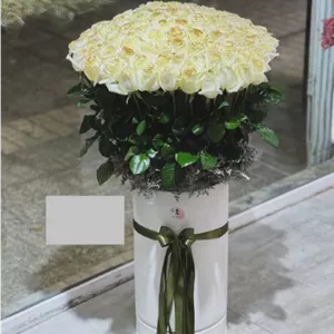 فروشگاه گل و گیاه و گلدان خیابان گلبرگ 6415