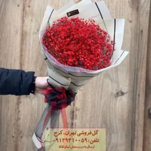 گل و عروسک شیک ولنتاین برای دختر نوجوان در گلفروشی سهروردی