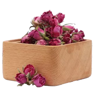 گل محمدی