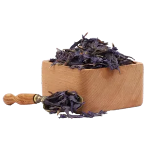 گل گاوزبان