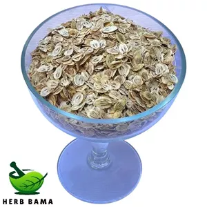 گلپر درشت