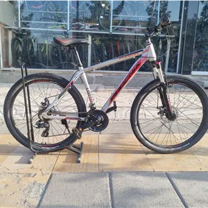 دوچرخه ۲۶ فونیکس