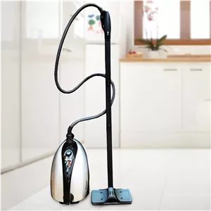 بخار شو دلمونتی مدل dl 200