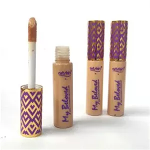 کانسیلر طرح تارت آرتسکین HD جدید