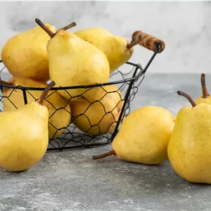 گلابی بیروتی