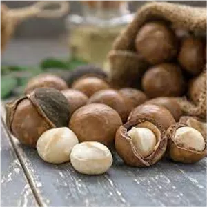 نهال فندق