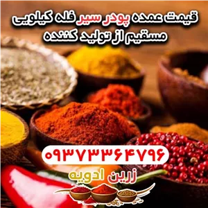 قیمت پودر سیر فله ای کیلویی 1405