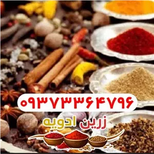 پودر پیاز عمده (پایین ترین قیمت)