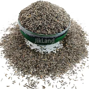 تخم نیجر یا کتان سیاه پرندگان