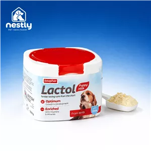شیر خشک بیفار لاکتول برای توله سگ 🍼🐶