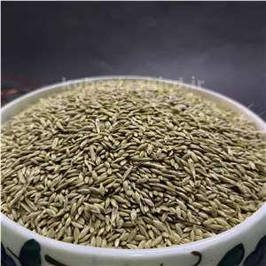تخم کتان